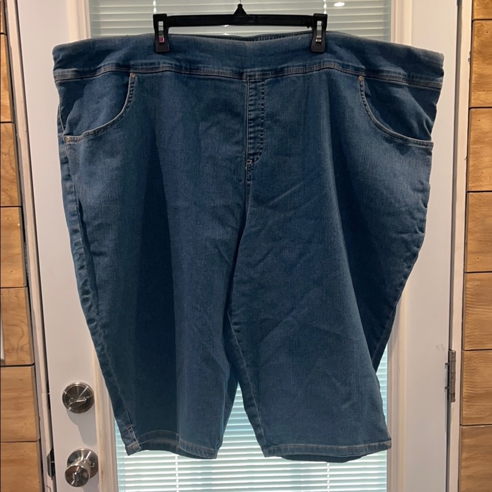 Terra & Sky Women's Blue Jeans